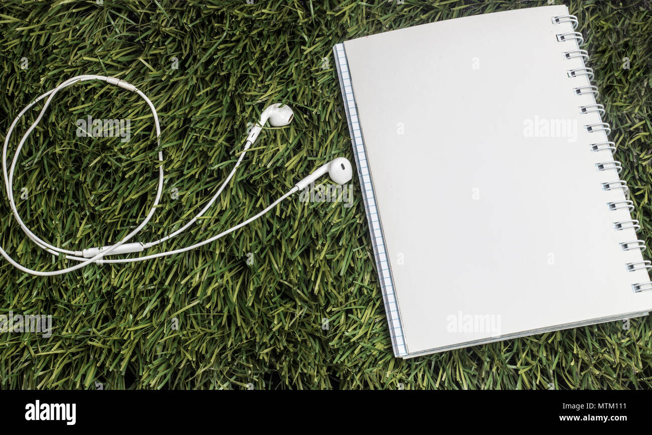 Auricolare e laici del notebook su erba verde Foto Stock