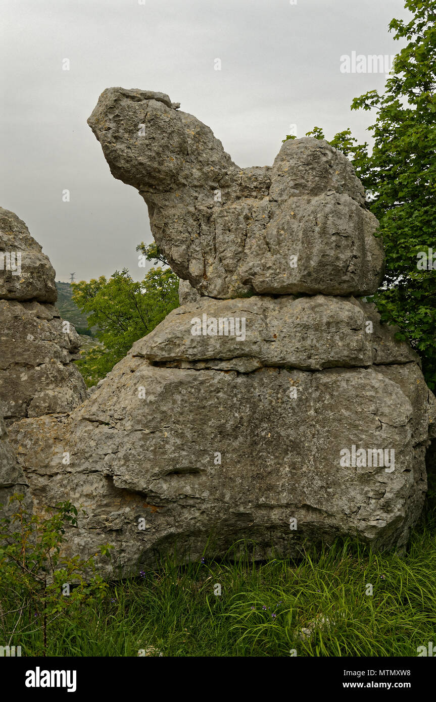 Vence pass (village des Idoles) è un luogo misterioso in Costa Azzurra dove ha eroso le rocce calcaree guardare come le rovine di un villaggio medievale. Foto Stock