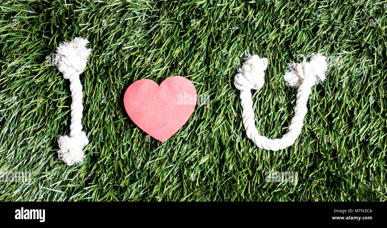 Erba verde con parole i love u Foto Stock