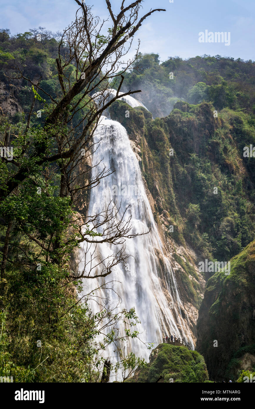 Chiflon cascata, Cascada Velo de Novia, Chiapas, Messico Foto Stock