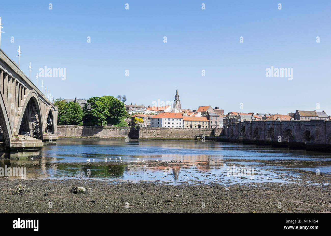 Berwick upon Tweed a bassa marea che mostra Royal Tweed Bridge e Berwick o Ponte Vecchio. Foto Stock