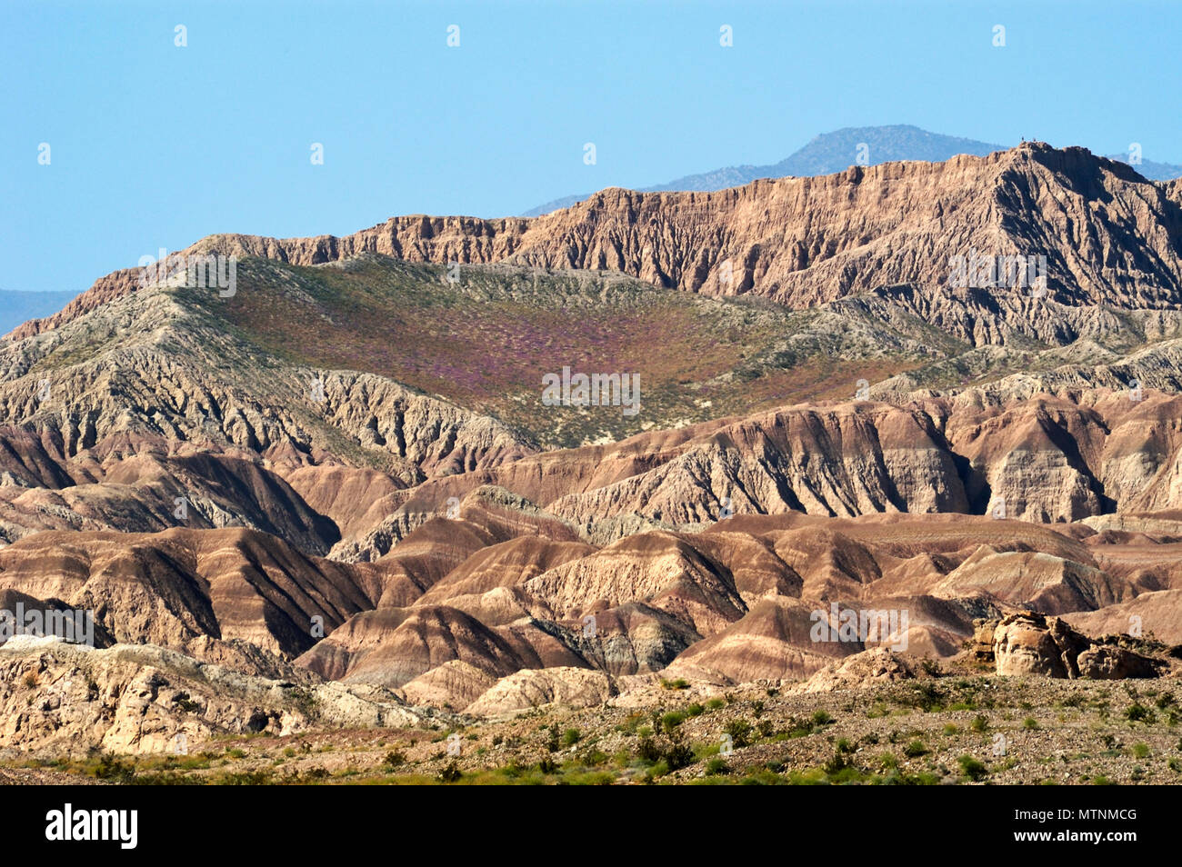 Montagne di Santa Rosa, le rocce sedimentarie, font punto, razorback creste, San Felipe lavaggio, Borrego Badlands, Anza-Borrego Desert State Park, CA 050312 Foto Stock