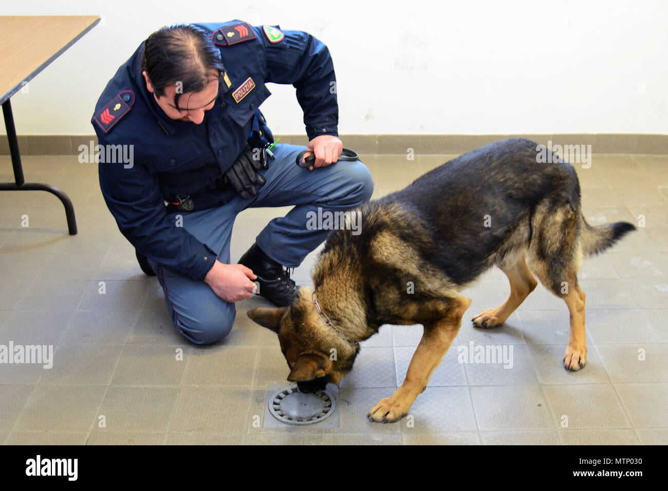 Militari Italiani cane da lavoro di Zeus e il suo gestore Vice ispettore Nicola Marcon, assegnato alla polizia italiana Squadra Cinofili K9 Questura di Padova, ispezionare le aree che possono avere il farmaco residuo alla Caserma Ederle, Vicenza, Italia, Gennaio 17, 2017. Militari di cane da lavoro le squadre sono utilizzati in pattuglia, farmaco e rilevamento esplosivi e specializzato funzioni di missione per il Dipartimento della difesa e di altre agenzie governative. Il militare 525th cane da lavoro di distacco, la formazione congiunta con la polizia italiana Squadra Cinofili K9 aeroporto di Venezia e la Questura di Padova e U.S. Air Force. (U.S. Foto dell'esercito da Visual In Foto Stock