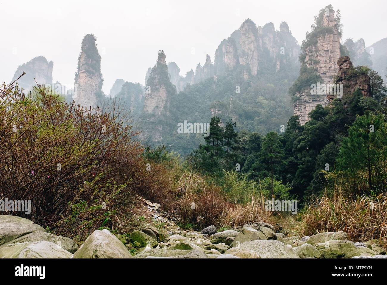 Zhangjiajie, Cina UNSESCO Avartar movie Foto Stock