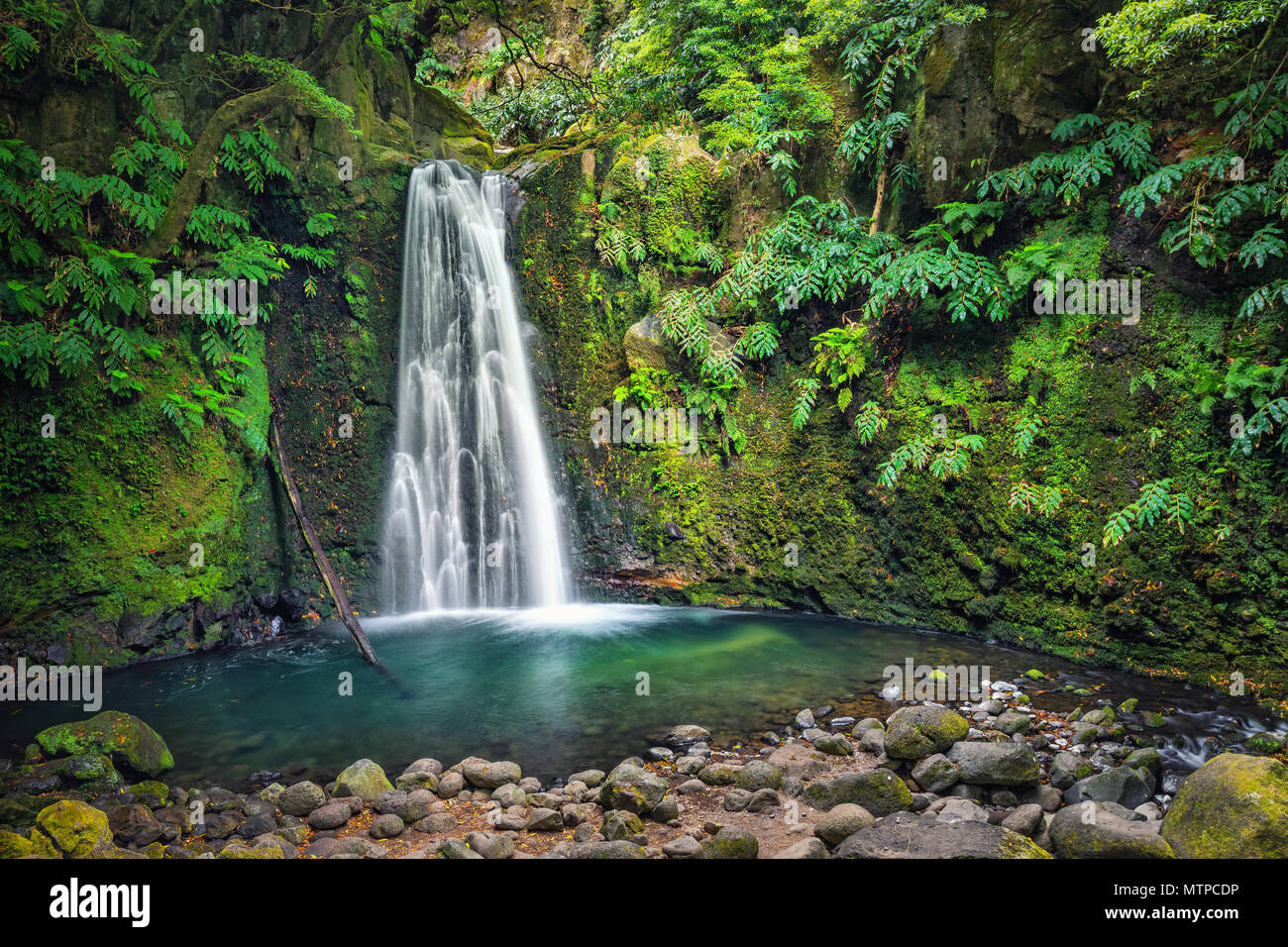 Salto fare Prego cascata perso nella foresta pluviale, isola Sao Miguel, Azzorre, Portogallo Foto Stock