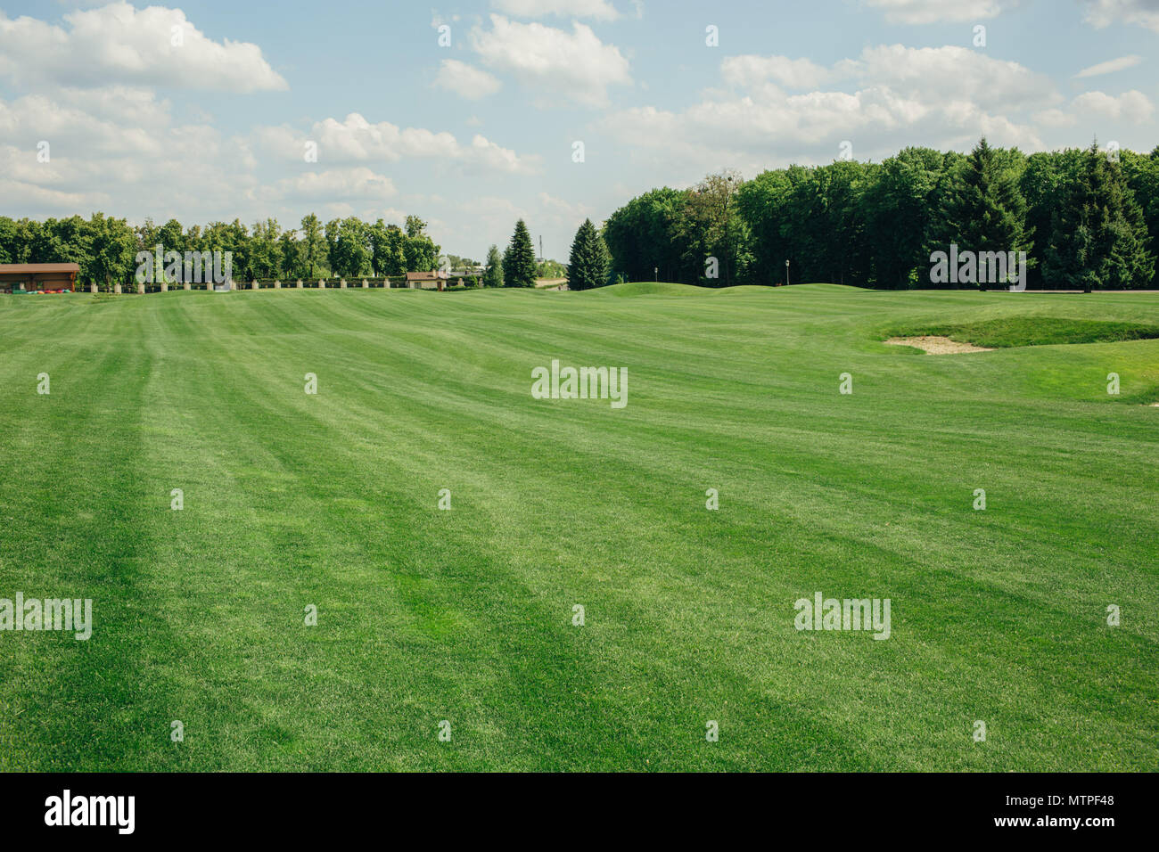 Full Frame Shot del campo da golf Foto Stock