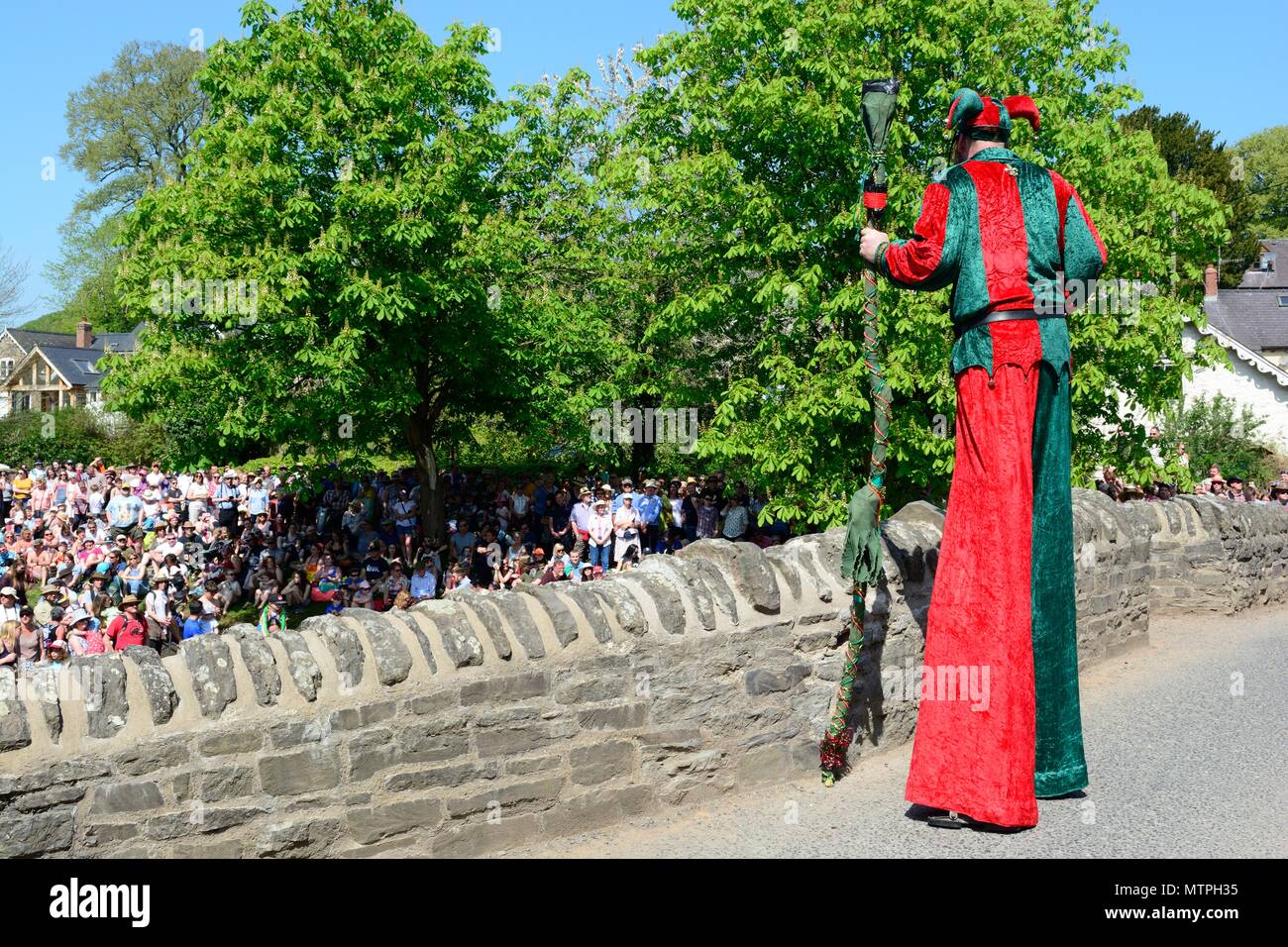 Stilt man standing su Clyn medievale ponte in pietra a parlare con crouds su un caldo giorno di maggio Clun Green man Festival Shropshire England Regno Unito Foto Stock