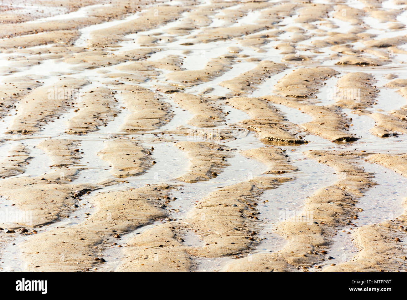 Sabbia bagnata sulla spiaggia nella bellissima ondulazione Foto Stock