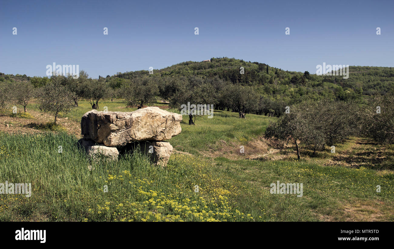 Istria centrale (Istria), Croazia - antica struttura in pietra collocati in uno degli oliveti che circonda la città medievale di Grisignana (Groznjan) Foto Stock