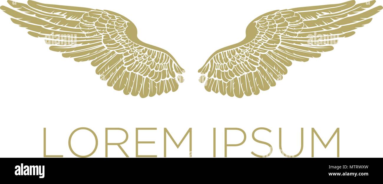 Gold Angel Wings. Modello di logo Illustrazione Vettoriale