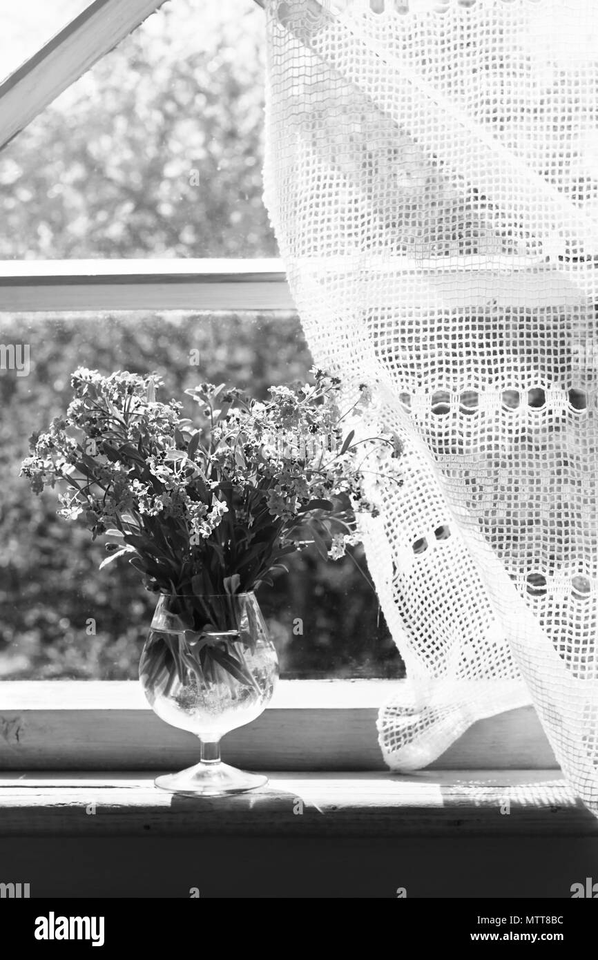 Bouquet di fresca di dimenticare me not (Myosotis arvense) nella Wineglass sul davanzale della finestra nella vecchia casa rustica. In bianco e nero Foto Stock