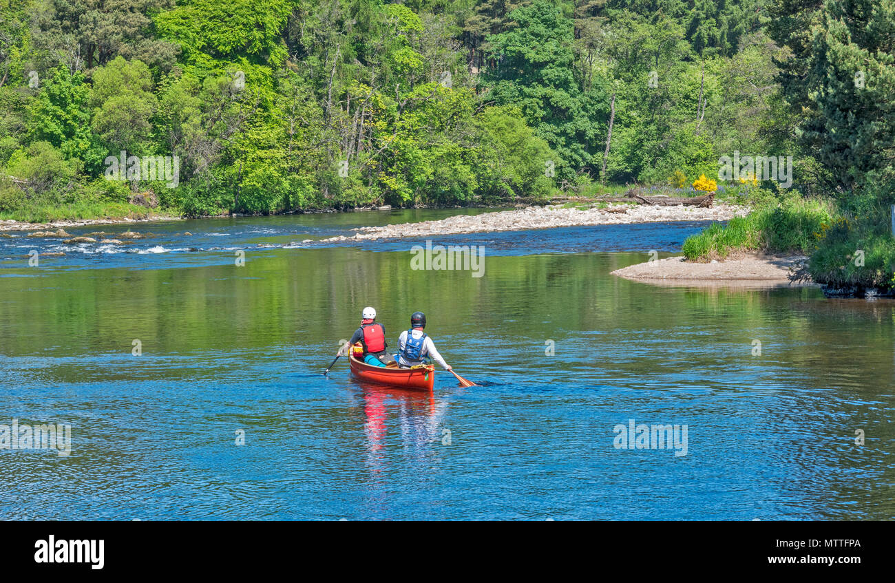 Fiume Spey SPEYSIDE SCOZIA A CANOA TAMDHU CANOEIST nel sole primaverile di due persone in un rosso canoe su una curva con rapide Foto Stock