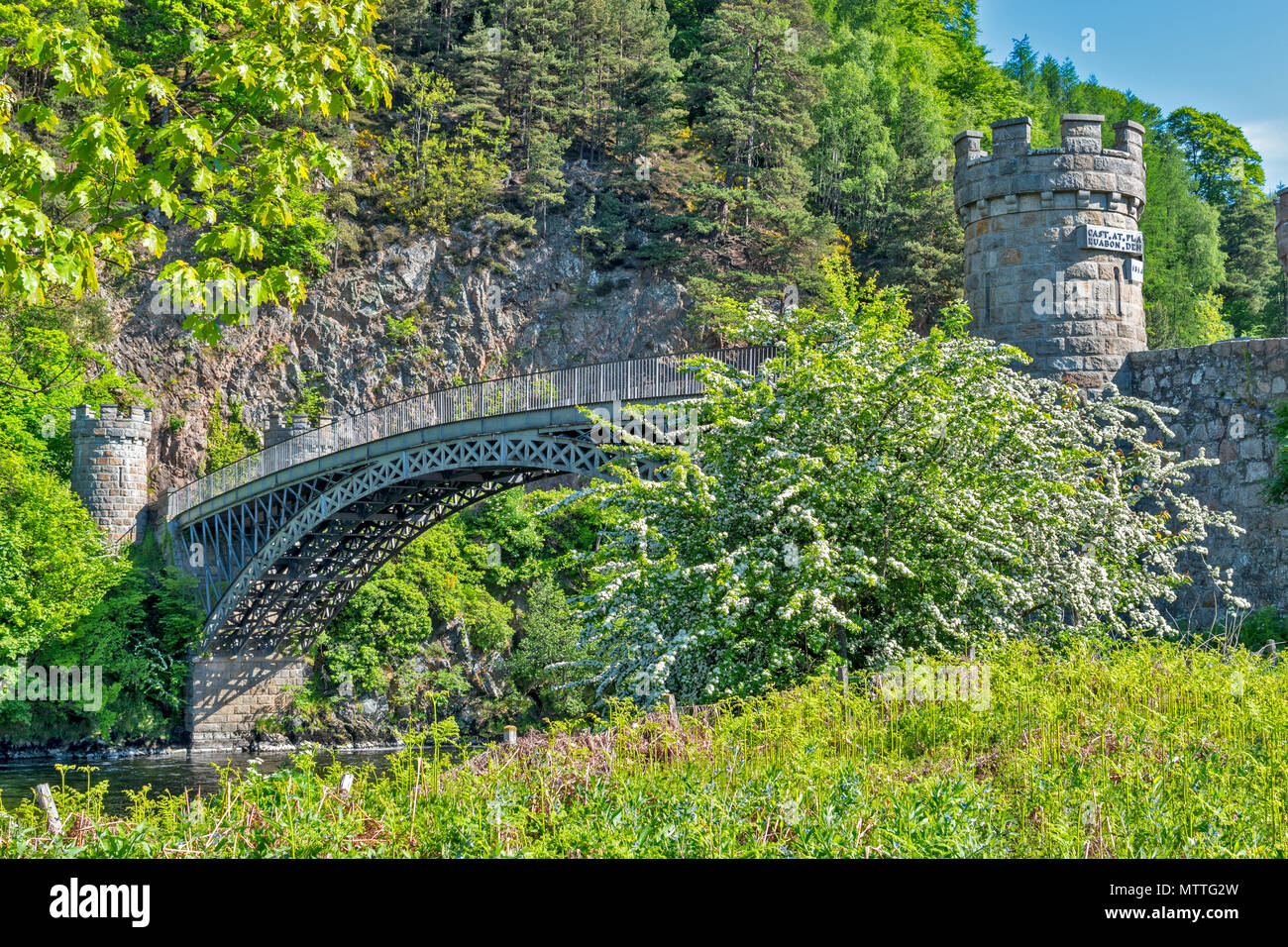 THOMAS TELFORD PONTE A CRAIGELLACHIE Scozia le torri del ponte e circondato da fiori in primavera e biancospino BLOSSOM Foto Stock