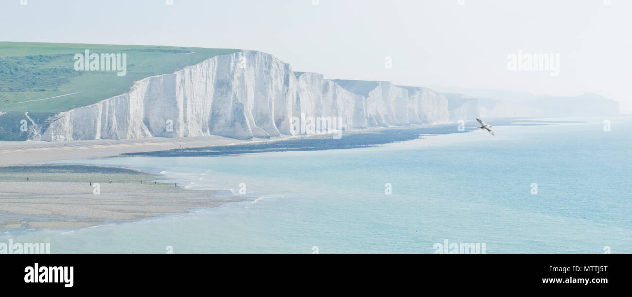 Le sette sorelle in una nebbiosa mattina di maggio, East Sussex, Inghilterra, Regno Unito Foto Stock Le sette sorelle in una nebbiosa mattina di maggio, East Sussex, Inghilterra, Regno Unito Foto Stock