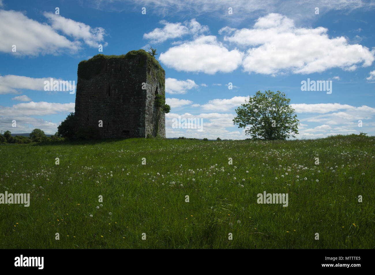 Il castello di Ballymaquiff Foto Stock