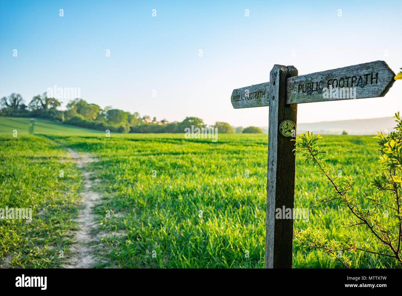 Paesaggio rurale scena nel West Sussex vicino a Pulborough al crepuscolo Foto Stock