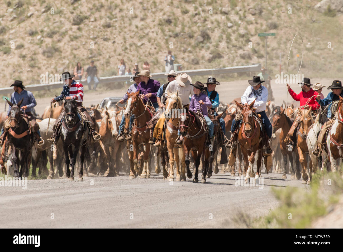 Gardiner, Montana - Maggio 26, 2018- Cowboys cavalli di trasmissione attraverso Gardiner per l'Hells-a-roarin cavallo rigido. Foto Stock