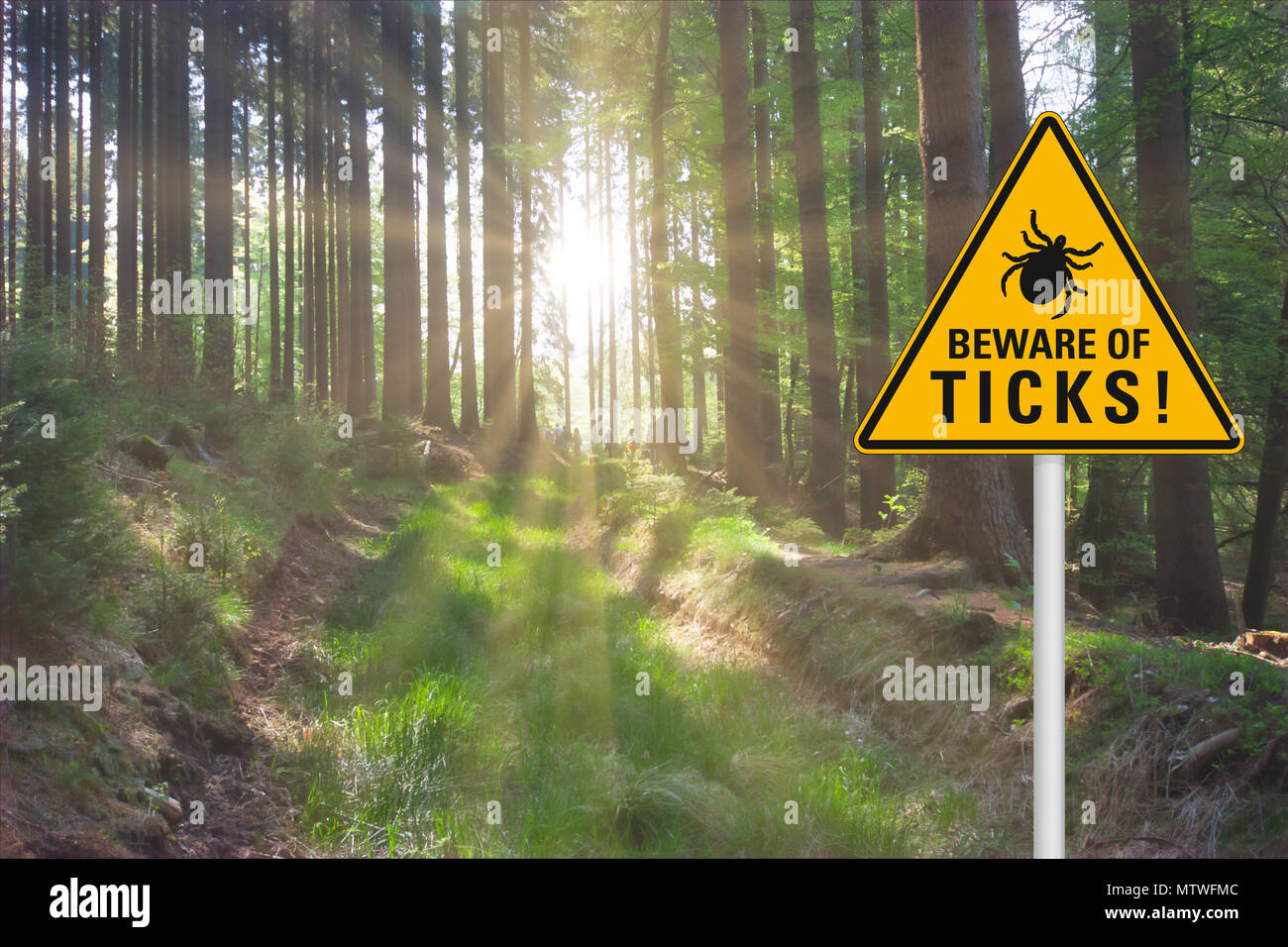 Avviso di colore giallo segno "attenzione delle zecche' in una soleggiata radura nel bosco Foto Stock