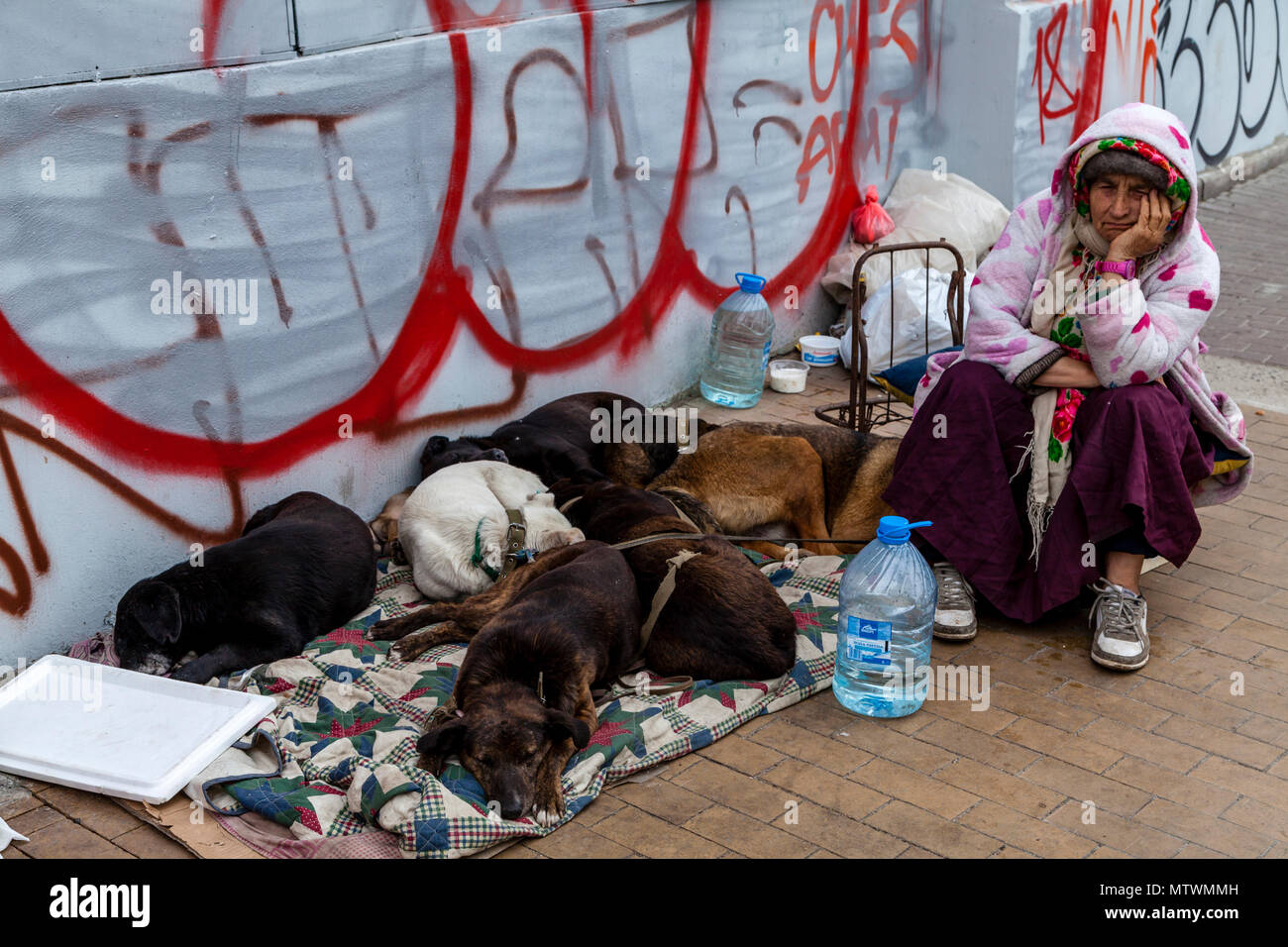 Una donna ucraina seduta in strada con i suoi cani, Kiev, Ucraina Foto Stock