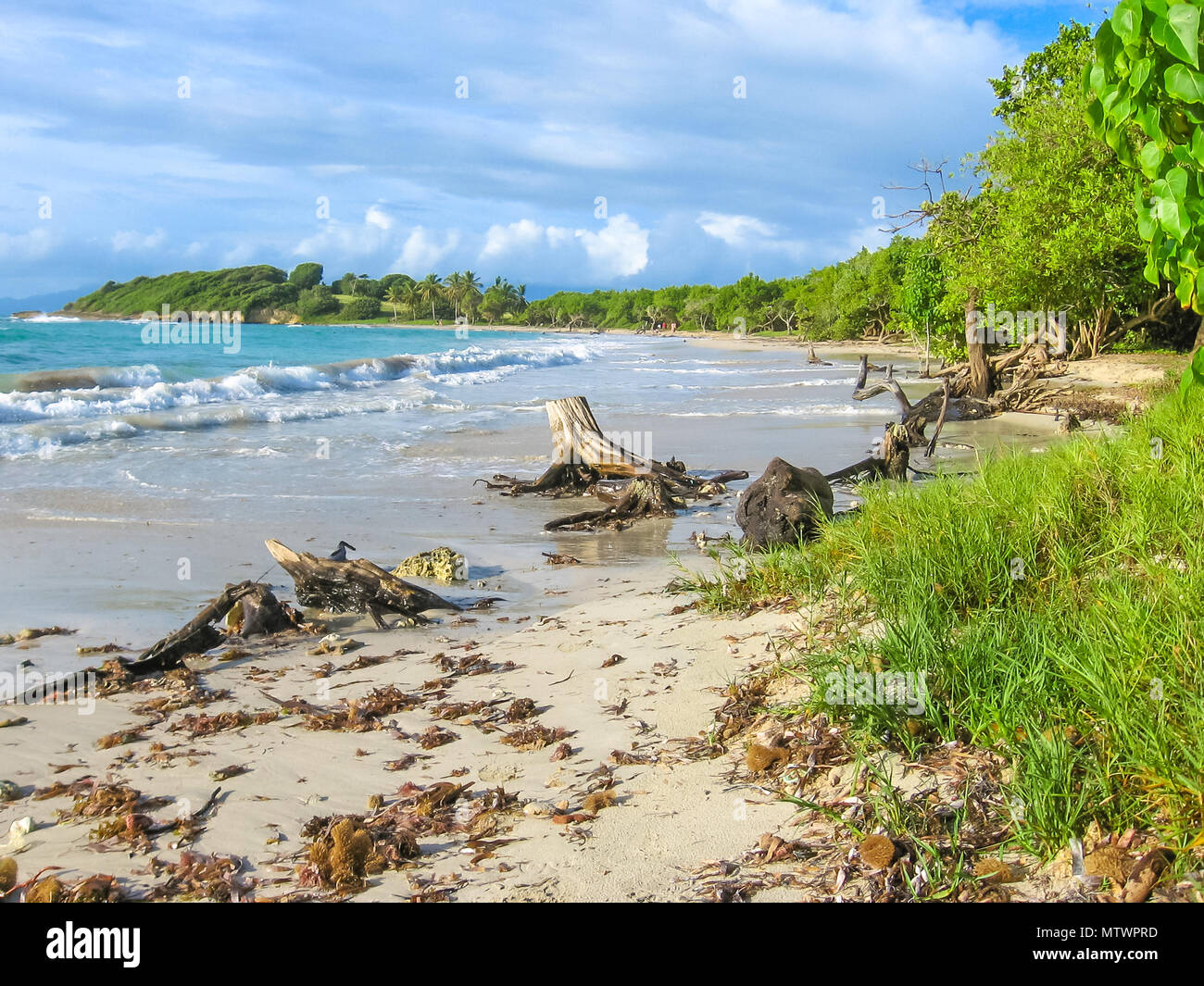 Spettacolare costa selvaggia dell'isola di Grande-Terre in Guadalupa, dei Caraibi. Foto Stock