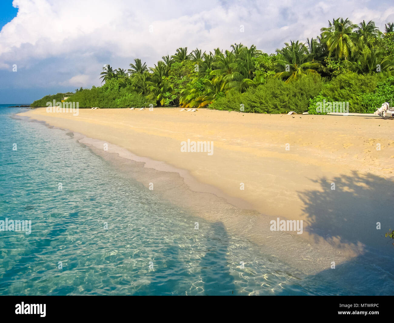 Maldive Atoll, Oceano Indiano. Palme sulla spiaggia di sabbia bianca. Acque turchesi della laguna. Asdu in Nord maschio. Foto Stock