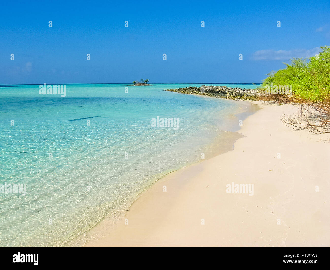 Maldive Atoll, Oceano Indiano. Palme sulla spiaggia di sabbia bianca. Acque turchesi della laguna. Asdu in Nord maschio. Foto Stock