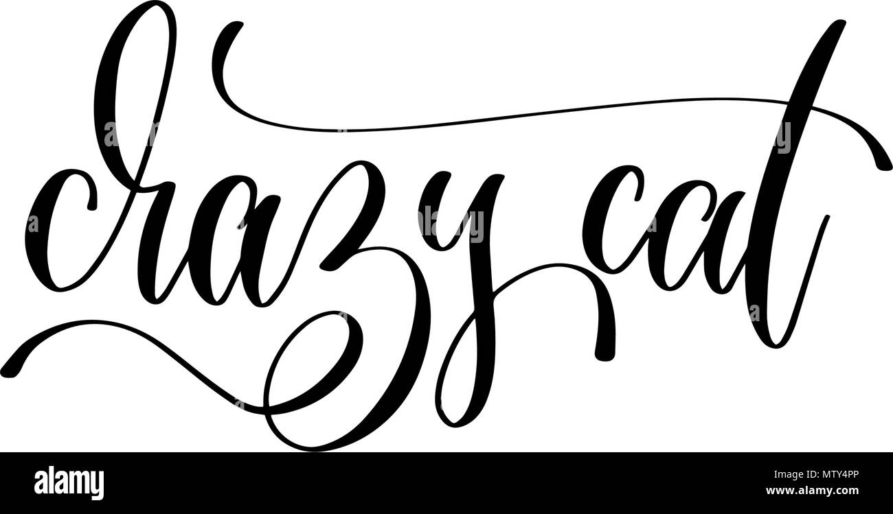 Crazy cat - scritte a mano iscrizione testo su animale Illustrazione Vettoriale