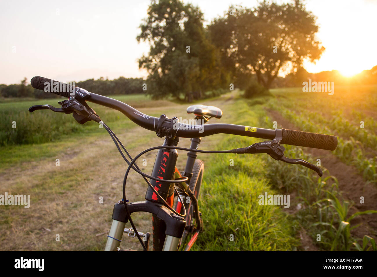 Tlaxcala, Messico - maggio 27.2018. Giant è un Taiwanese e shimano a società giapponesi, largamente considerate come le più grandi aziende del ciclismo indus Foto Stock