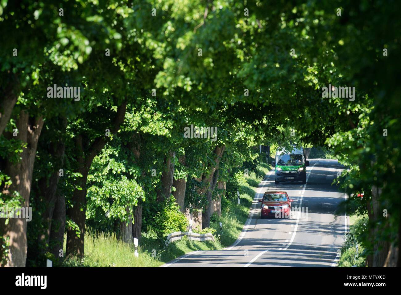 30 maggio 2018, Germania, Garz: Veicoli guida con le loro luci lungo il viale tra Garz e Putbus in tempo soleggiato. Il tratto fa parte del 'Deutsche Alleenstrasse' (tedesco Avenue Road) che inizia sull isola di Ruegen. Foto: Stefan Sauer/dpa Foto Stock