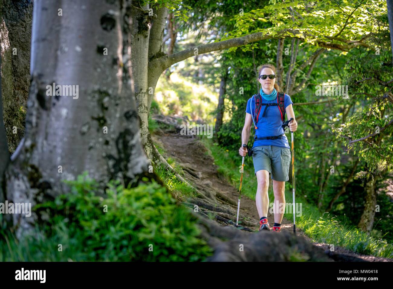 Donna escursionismo sul monte Nockstein, Salisburgo, Austria Foto Stock
