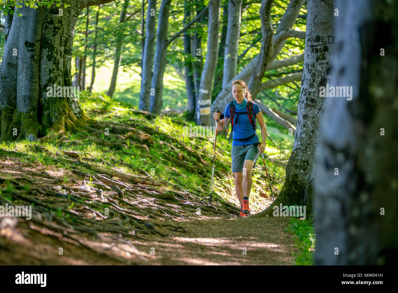 Donna escursionismo sul monte Nockstein, Salisburgo, Austria Foto Stock
