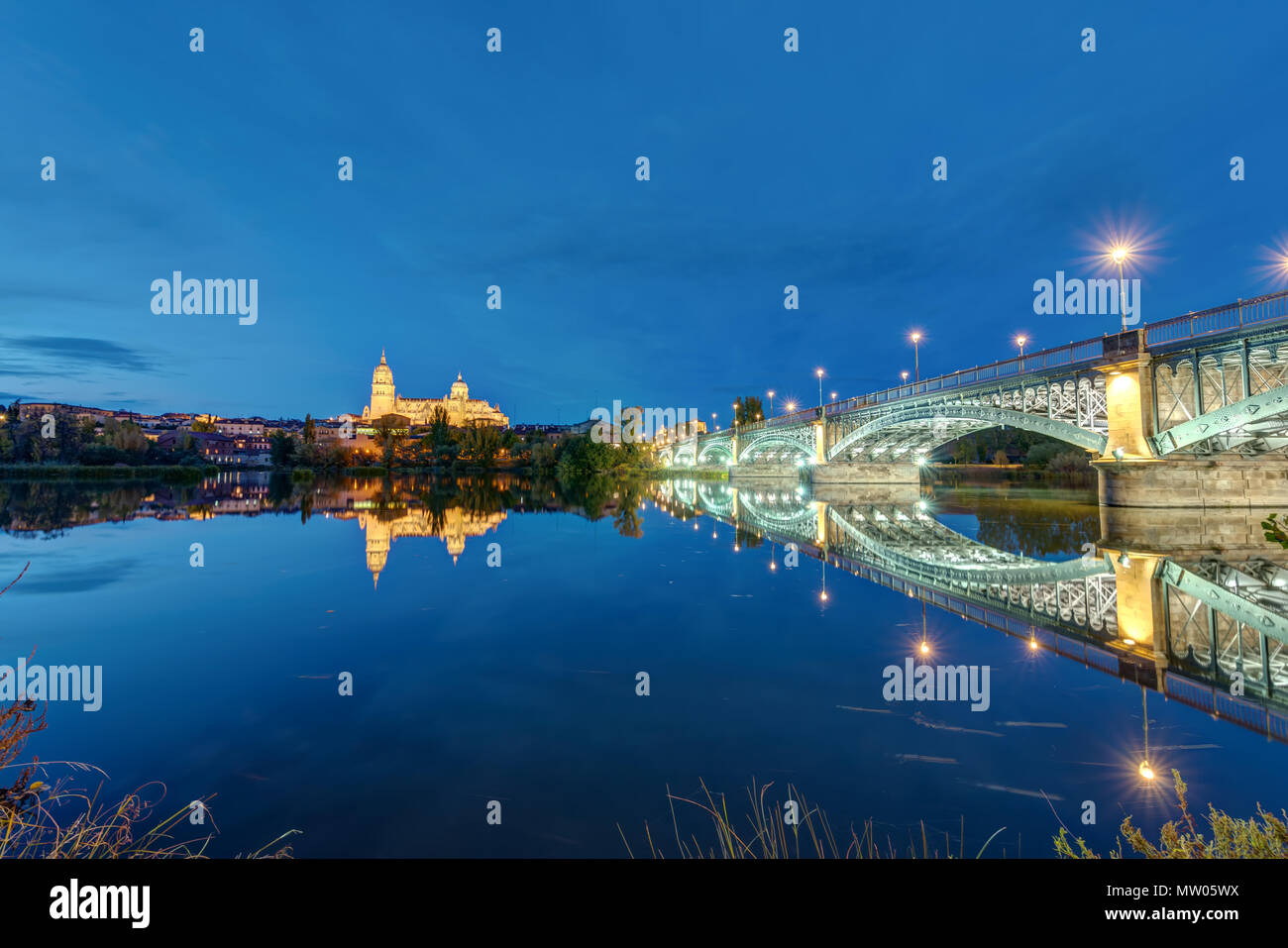 La Cattedrale di Salamanca e del fiume Tormes con il Puente de Enrique Estevan di notte Foto Stock