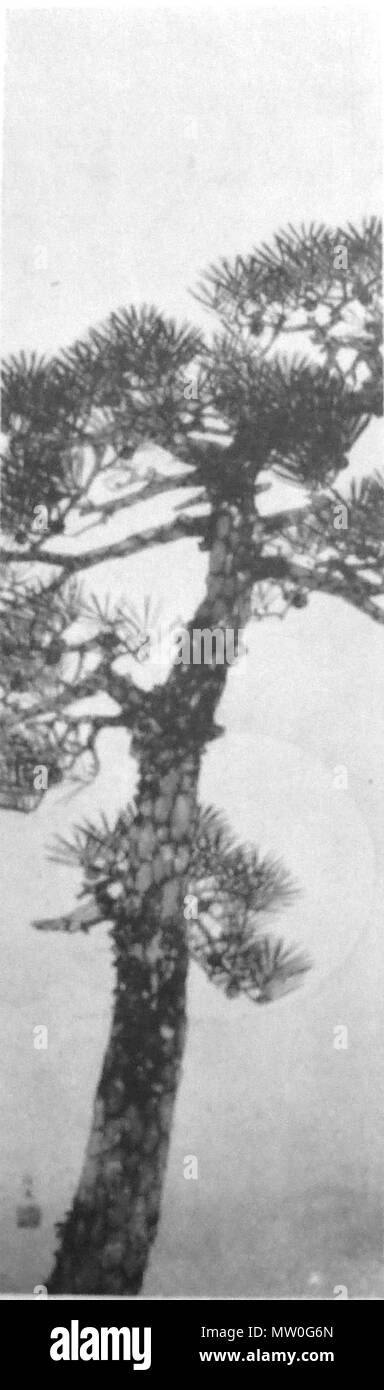 . Inglese: Inchiostro e lavare la pittura di Shouda Kakuyu(1879-1948) 日本語: 庄田鶴友(1879-1948)"水墨 蒼松明月'('大毎美術'第14巻、第12號、第163號、大毎美術社、図版p.3) 555 Shouda Kakuyu Pittura Foto Stock