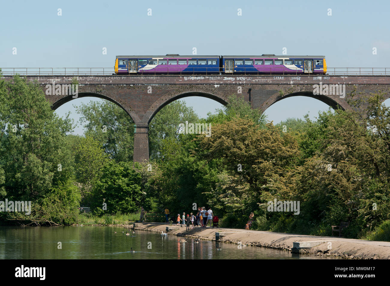 Una rampa settentrionale pacer treno passa su un viadotto ferroviario che attraversa rossastro Vale Country Park a Stockport, Greater Manchester, Regno Unito Foto Stock