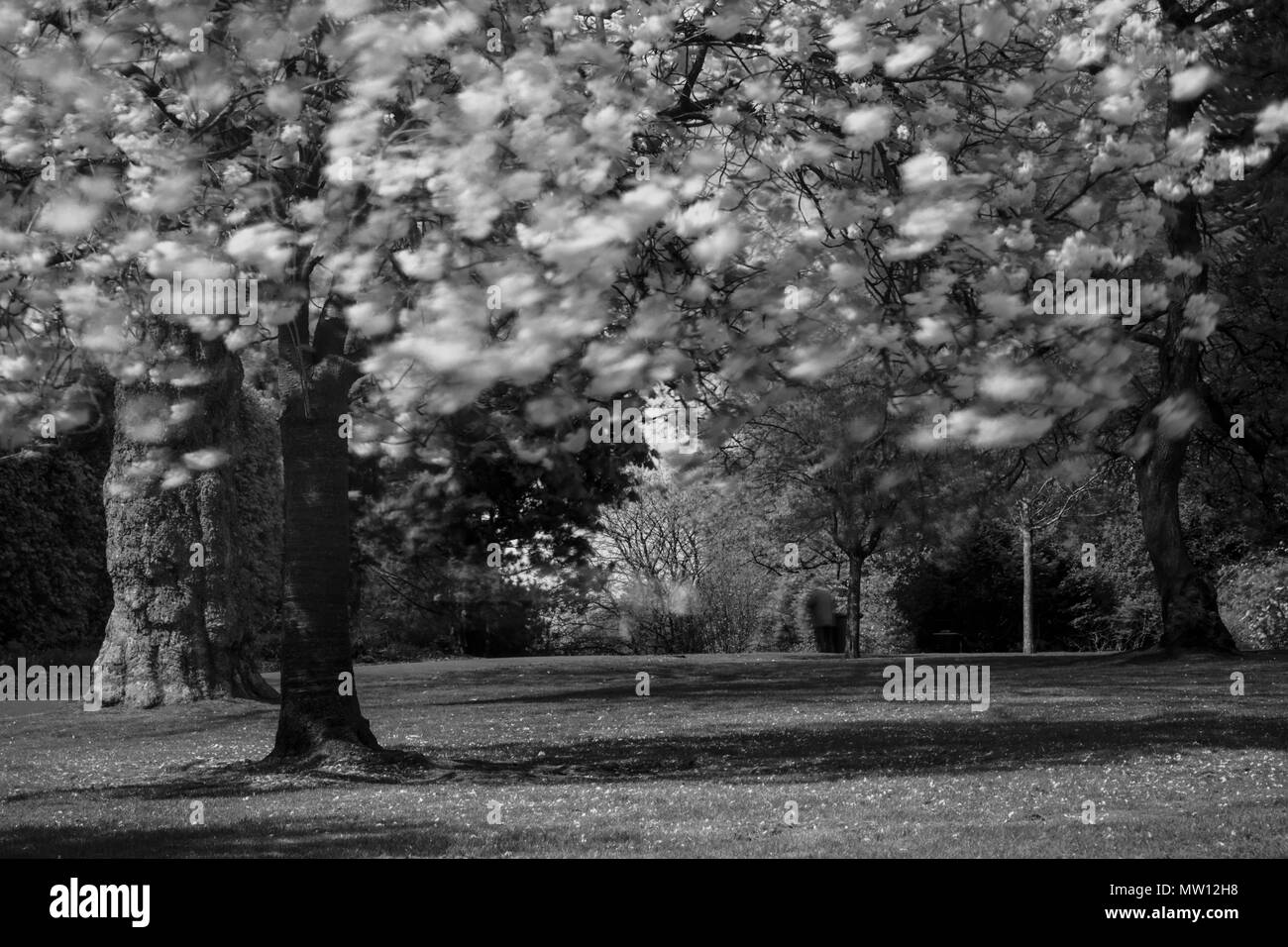 Struttura a raggi infrarossi Foto Stock