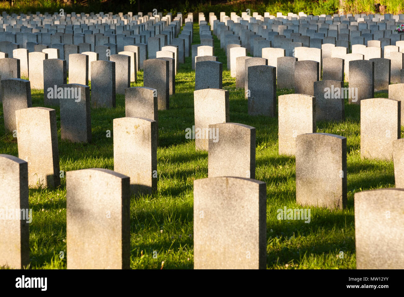Il campo di onore per caduta militare canadese dei veterani di guerra al Cimitero del Bosco di Hamilton, Ontario, Canada. Foto Stock