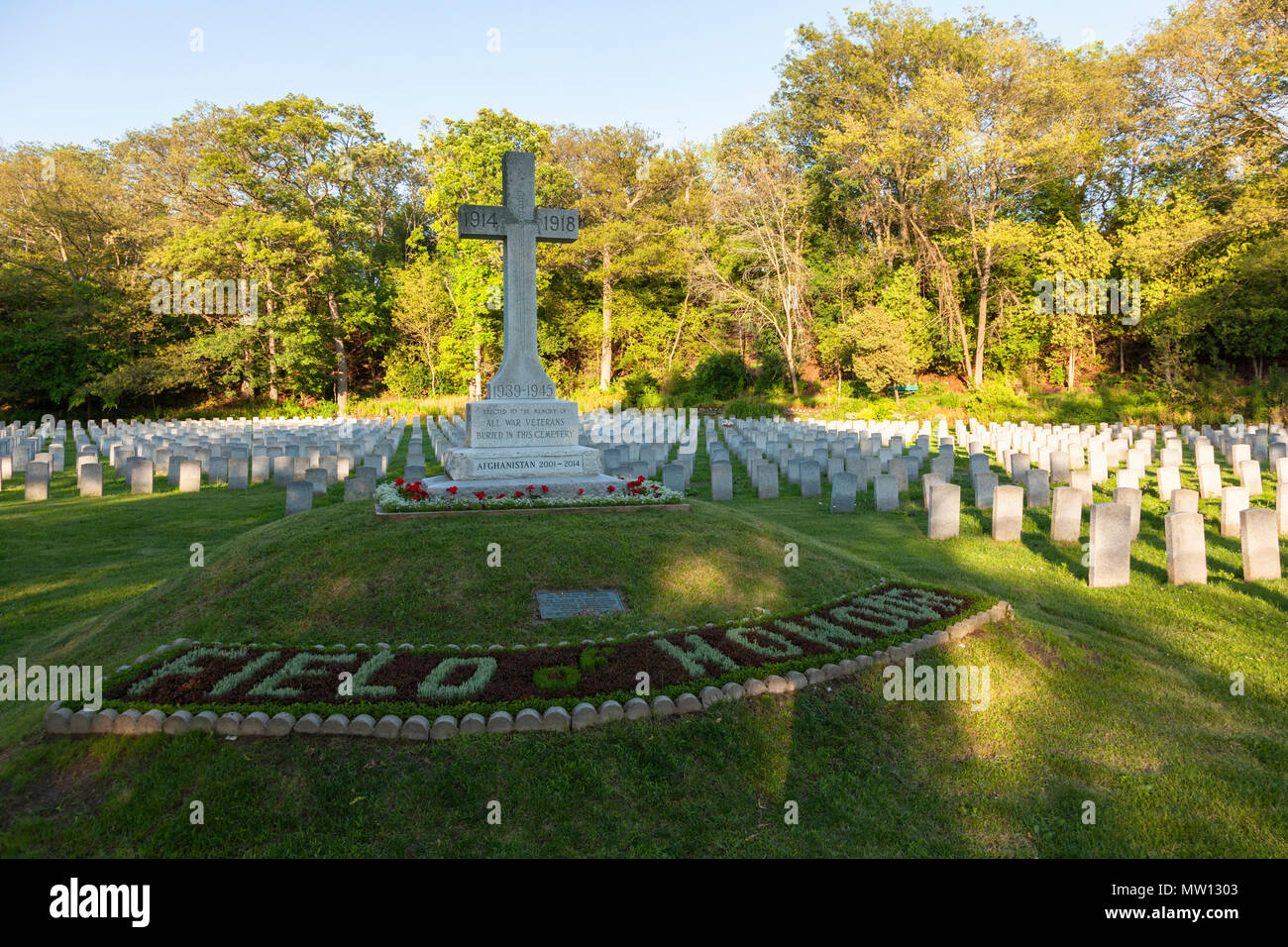 Il campo di onore per caduta militare canadese dei veterani di guerra al Cimitero del Bosco di Hamilton, Ontario, Canada. Foto Stock