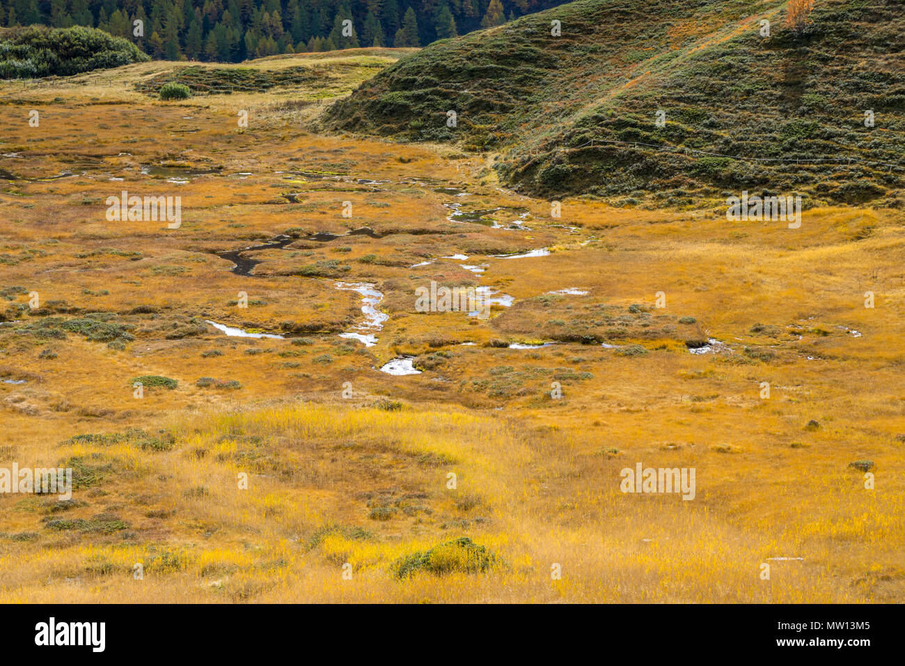 Zona umida in montagna grande colori autunno Foto Stock