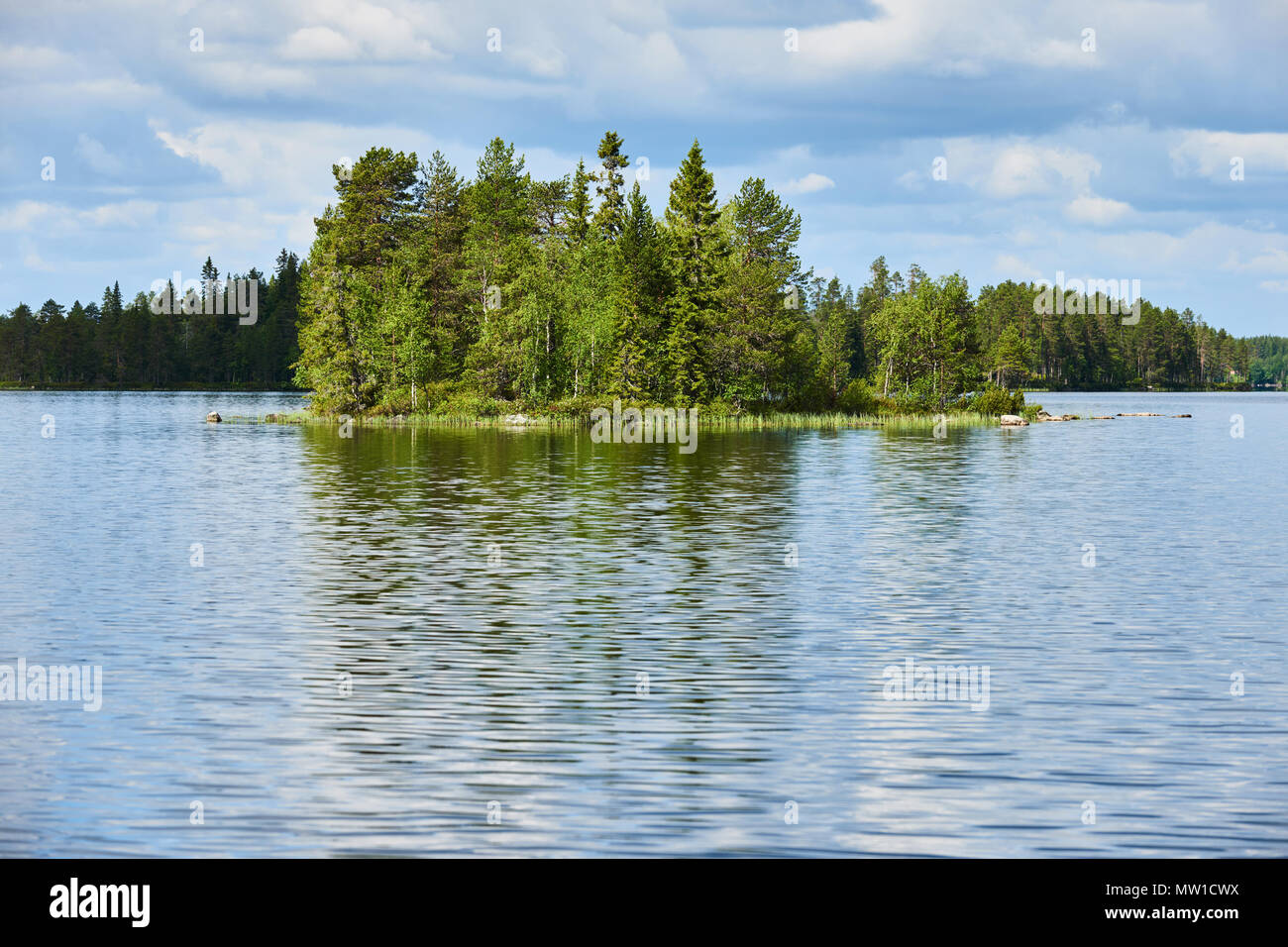 Rilassante paesaggio finlandese, con il lago, foresta, alberi, Cielo e nubi Foto Stock
