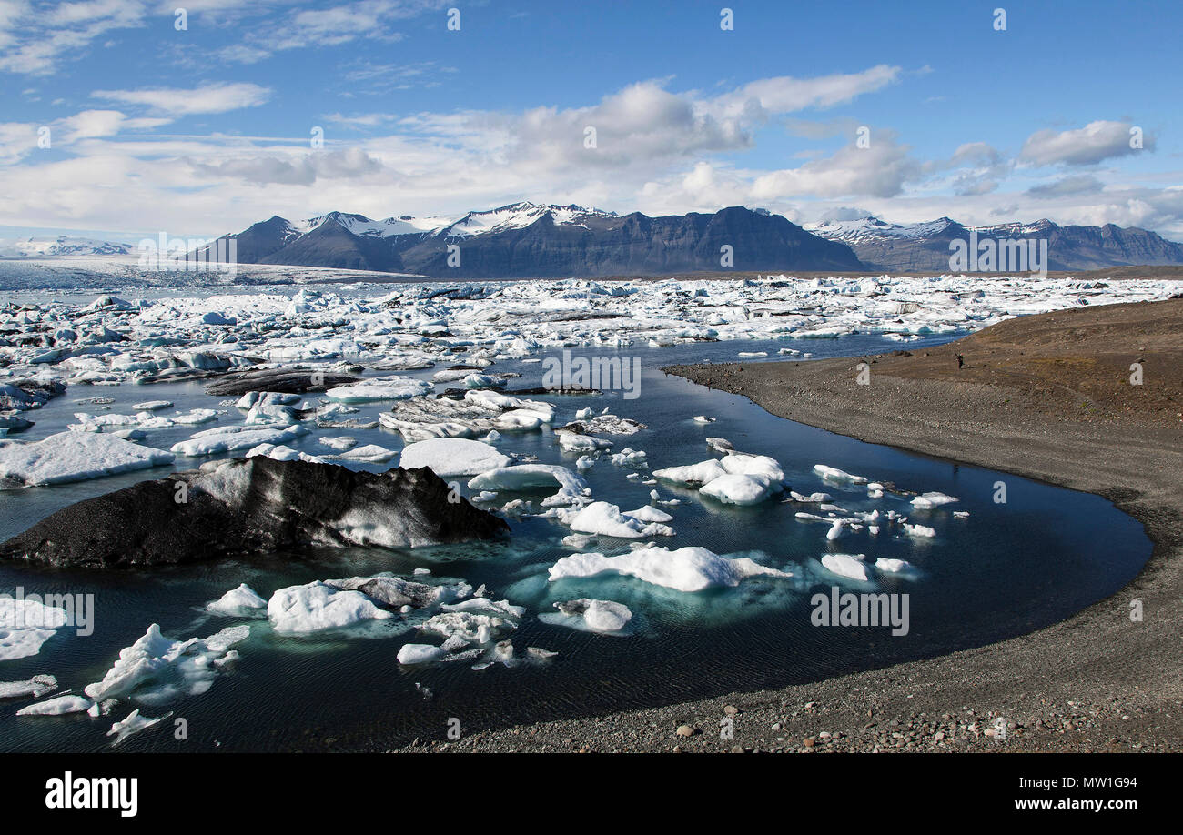 Piccoli iceberg nel lago glaciale, laguna glaciale Jökulsárlón presso il ghiacciaio Vatnajökull, Sud Islanda Islanda Foto Stock