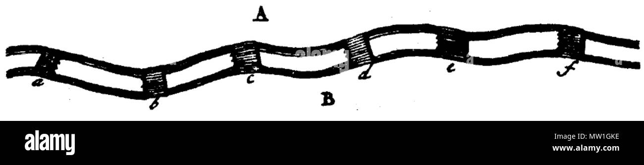 599 i sette ponti di Königsberg, Fig. 2 Foto Stock