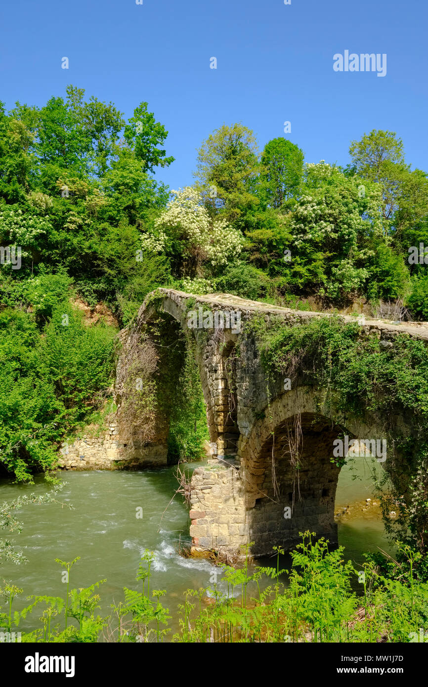Vecchia pietra ottomano ponte di arco ura e Golikut su fiume Shkumbin, regione Korca, Albania Foto Stock