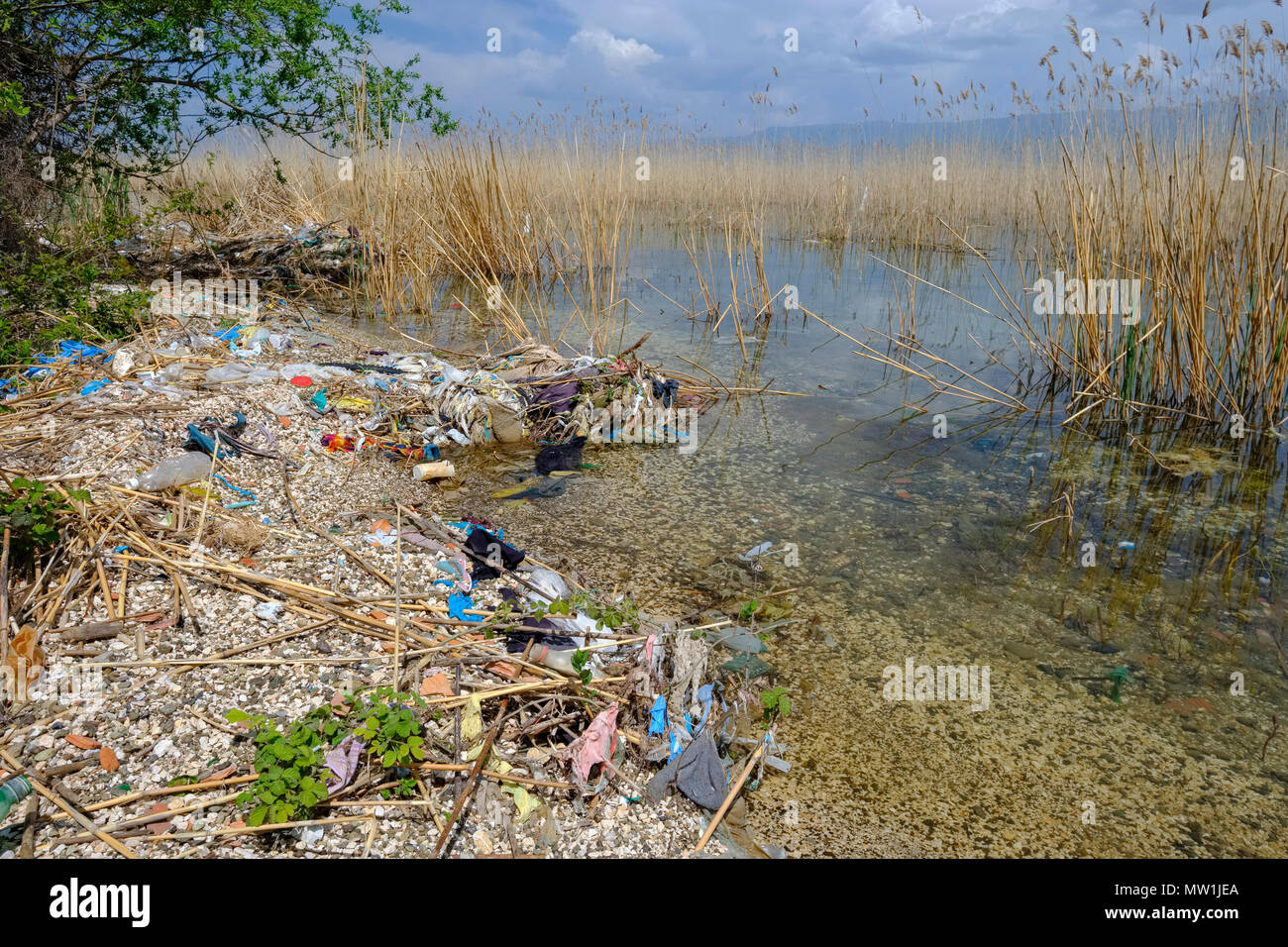 Rifiuti lavato fino sulla riva del lago, il lago di Ohrid vicino Udenisht, regione Korca, Albania Foto Stock