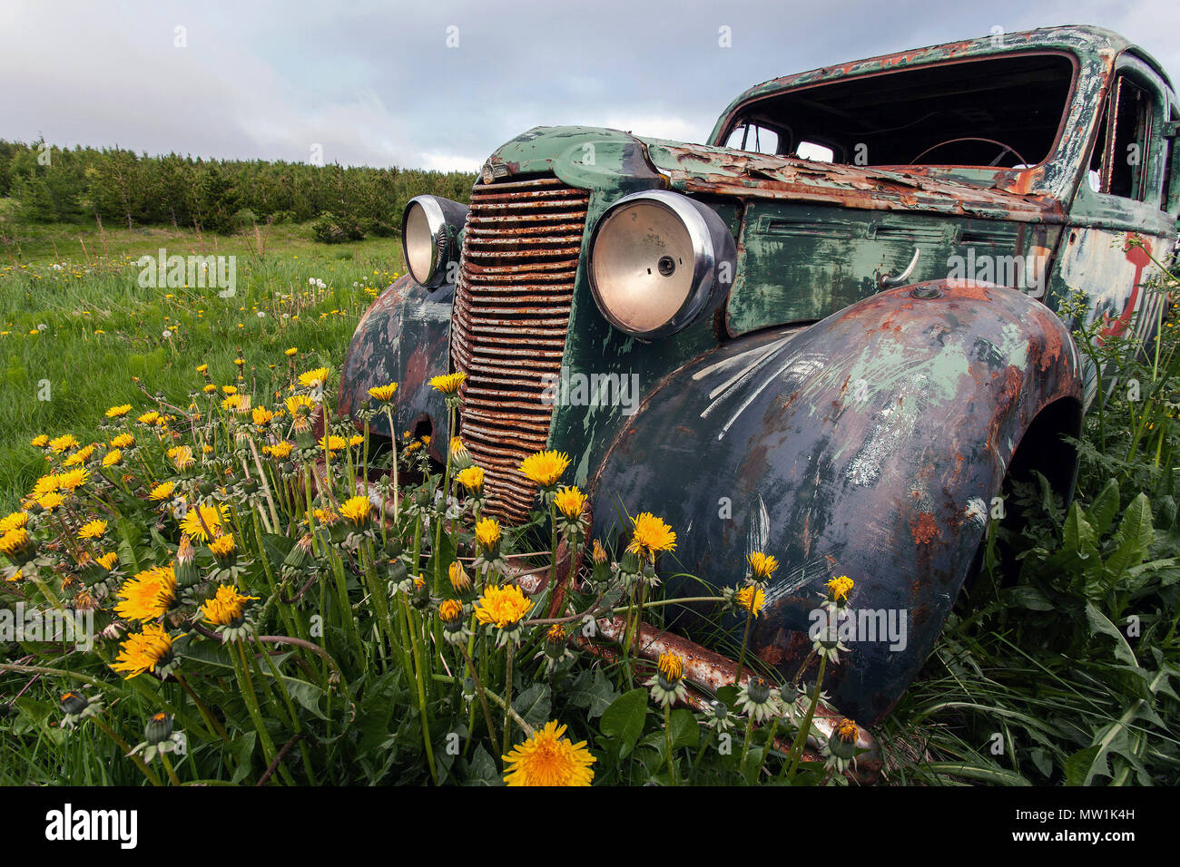Auto d'epoca, rottami di auto, Vauxhall, 1940s, il cimitero di auto a Ystafell Transportation Museum, Samgönguminjasafnið Ystafelli Foto Stock