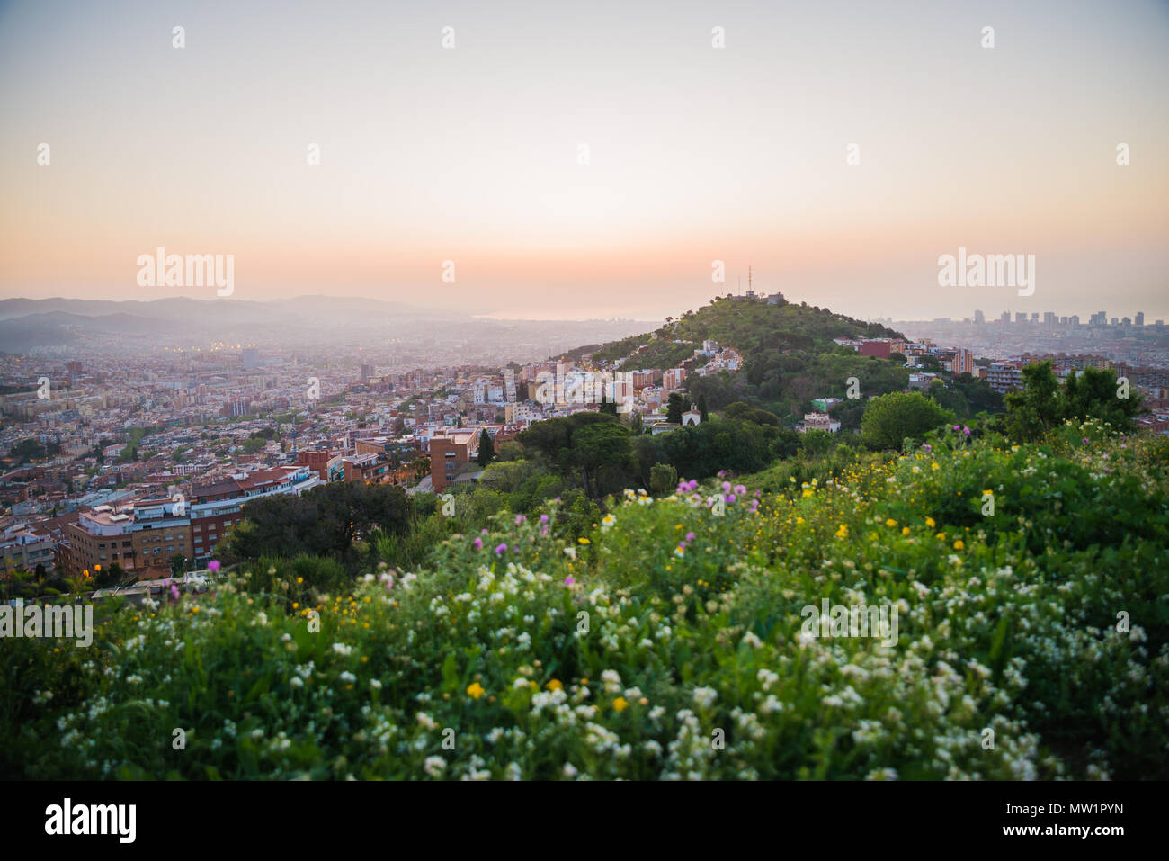 Bella mattina a Barcellona sulla cima di una collina e circondato dalla natura. Altro punto di vista unico della città di sunrise. Foto Stock