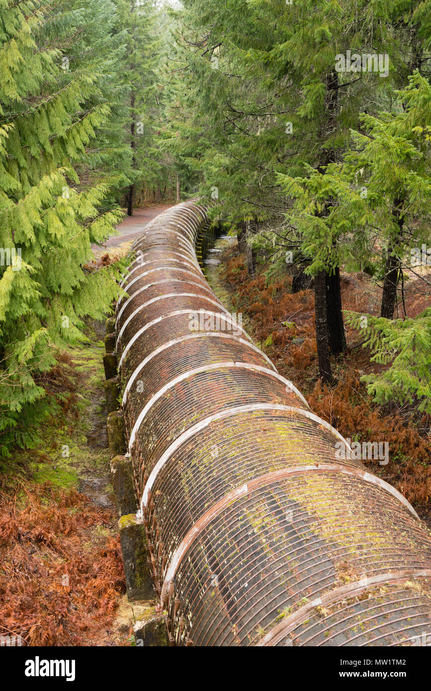 Una conduttura per il trasporto di acqua preziosa rende il modo attraverso il fitto bosco Foto Stock