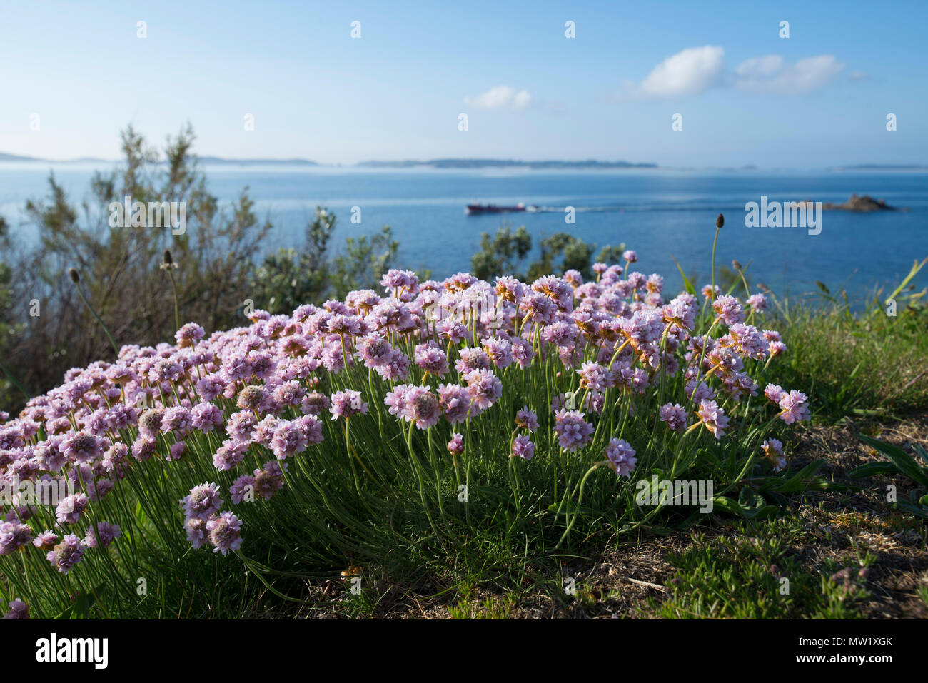 Re Carlo' Batteria guardando oltre alle altre isole Foto Stock