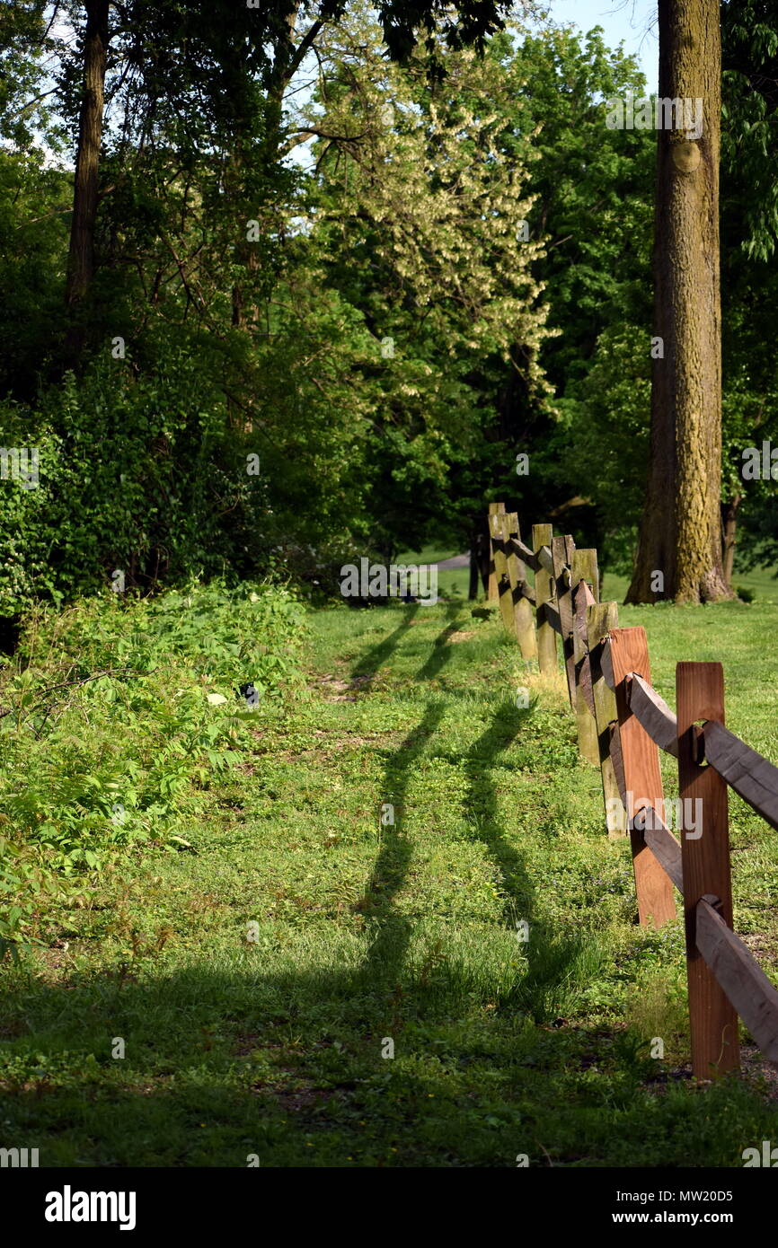 Una recinzione di legno in un parco. Foto Stock