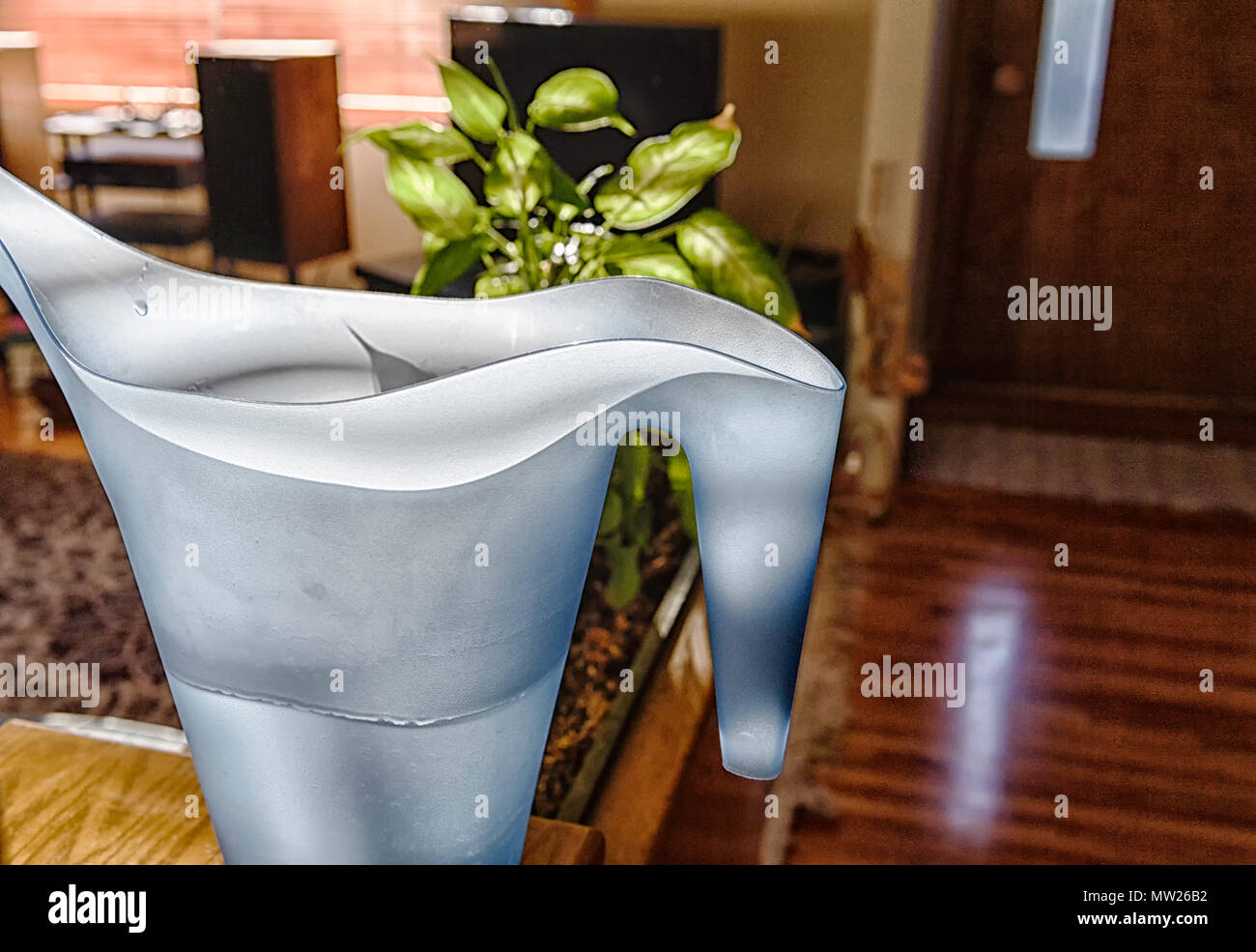 Plastica brocca di acqua utilizzato per l'irrigazione di piante per uso domestico Foto Stock