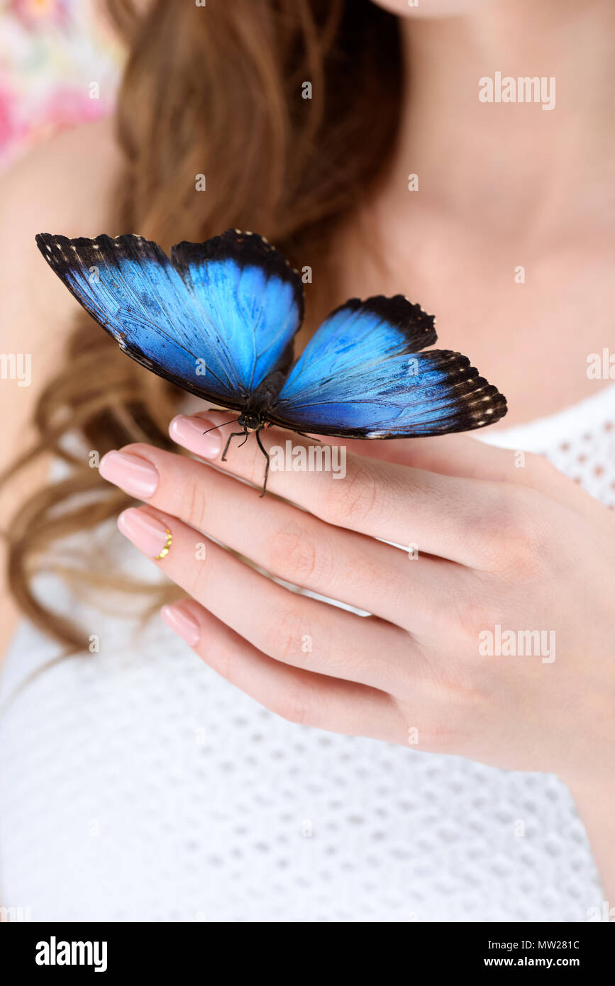 Ritagliato colpo di donna con blue butterfly a portata di mano Foto Stock